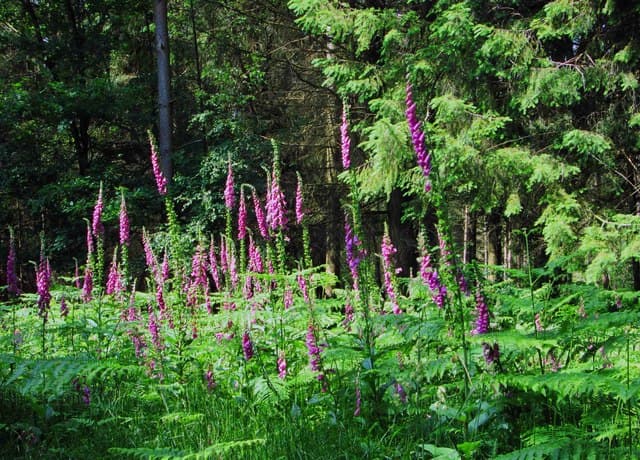 Forgiving the Hardest Person There Is to Forgive…